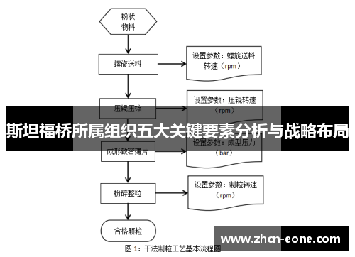 斯坦福桥所属组织五大关键要素分析与战略布局